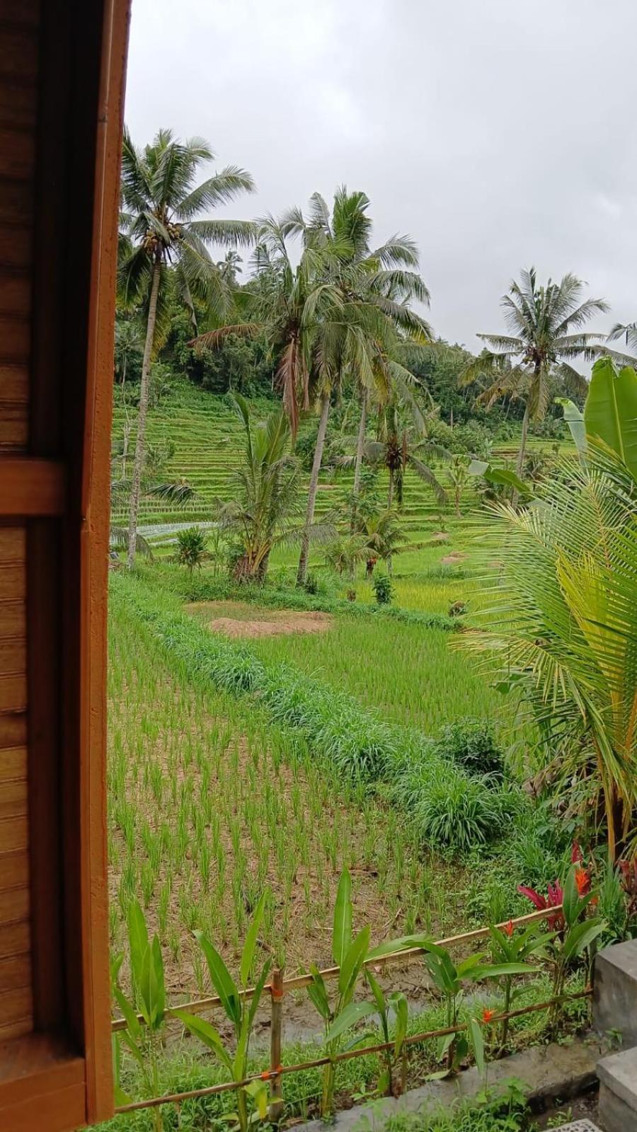 Lumbung Umaluah Villa Sidemen  Bagian luar foto